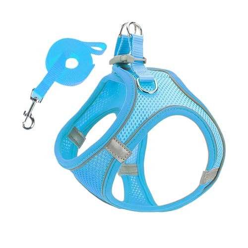 Keyubria Geschirr und Leinen Set für kleine Hunde | Netzgeschirr und Hundleinen Kombi | Reflektierende Welpen Kätzchen Katzengeschirr für Autoreisen Training Tierarztbesuche Outdoor Nachtspaziergänge Keyubria Geschirr und Leinen Set für kleine Hunde | Netzgeschirr und Hundleinen Kombi | Reflektierende Welpen Kätzchen Katzengeschirr für Autoreisen Training Tierarztbesuche Outdoor Nachtspaziergänge von Keyubria