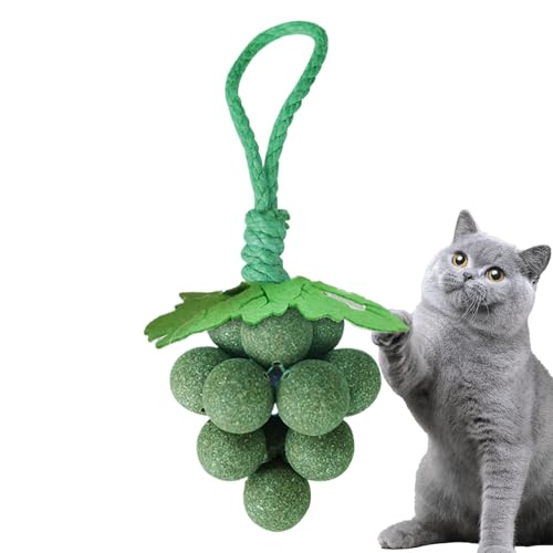 Keyubria Katzenminze Spielzeug Für Katzen,Kauspielzeug in Traubenform mit Katzenminze | Interaktives Katzenspielzeug Zum, Spielen Und Zahnpflege Für Drinnen Keyubria Katzenminze Spielzeug Für Katzen,Kauspielzeug in Traubenform mit Katzenminze | Interaktives Katzenspielzeug Zum, Spielen Und Zahnpflege Für Drinnen von Keyubria