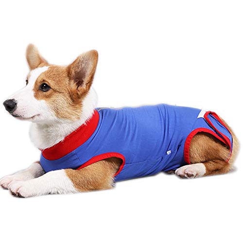 Dreamls Hunde-Genesungsanzug mit Reißverschluss, Bauchwundschutz, Erholungskleidung nach Operationen, für Welpen, kleine Hunde, Katzen (XS) von Keyur