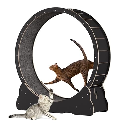 Keyzone Katzen-Laufband, Katzen-Trainingsrad für Indoor-Katze, 19.3 Zoll großes Katzenlaufrad mit Teppich-Laufbahn, Katzen-Sportspielzeug für längere Lebensdauer, Schwarz (L) von Keyzone