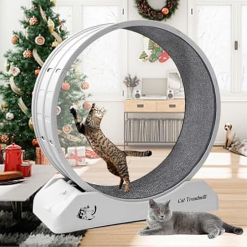 Keyzone Katzen-Trainingsrad, 31,5 Zoll Katzenräder für Indoor-Katzen, Katzenlaufband Rad Trainierer mit Teppichlaufbahn, Katzenlaufrad für Katzen tägliche Übung und Gewichtsverlust, Keyzone Katzen-Trainingsrad, 31,5 Zoll Katzenräder für Indoor-Katzen, Katzenlaufband Rad Trainierer mit Teppichlaufbahn, Katzenlaufrad für Katzen tägliche Übung und Gewichtsverlust, von Keyzone