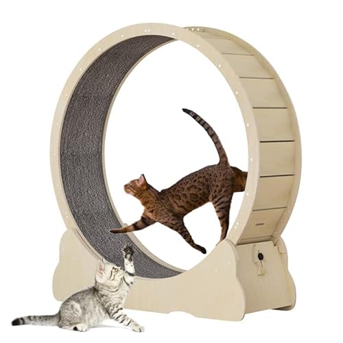 Keyzone Katzenlaufband, Katzen-Laufrad für Indoor-Katzen, 110 cm großes Katzenlaufrad mit Teppichboden Landebahn, Fitness-Gewichtsverlust, Katzensportspielzeug für längere Lebensdauer, Naturholzfarbe von Keyzone