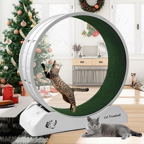 Laufrad für Katzen, Katzenlaufräder für Hauskatzen, Laufrad für Katzen mit Teppichboden, Laufband für Katzen aus Kunststoff für EIN längeres Leben der Katze Laufrad für Katzen, Katzenlaufräder für Hauskatzen, Laufrad für Katzen mit Teppichboden, Laufband für Katzen aus Kunststoff für EIN längeres Leben der Katze von Keyzone