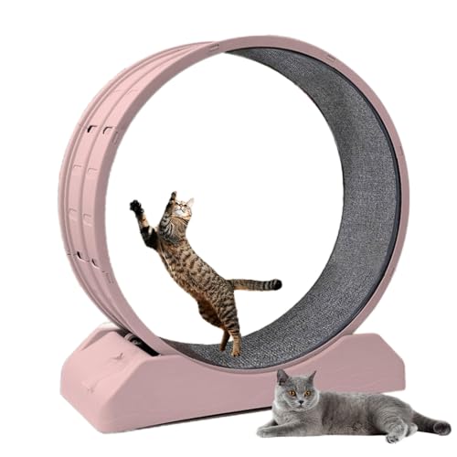 Laufrad für Katzen, Laufräder für Katzen im Innenbereich, Laufband für Katzen mit Teppichboden, Laufrad für Katzen für tägliches Training und Gewichtsverlust von Keyzone