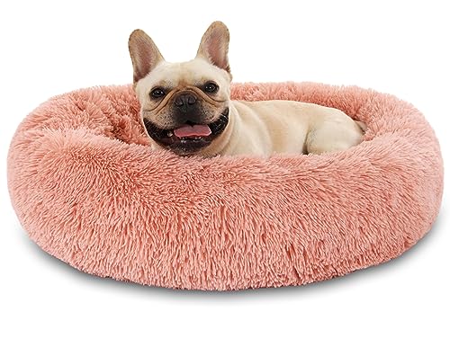Hundebett Katzenbett Flauschig Doughnut Kuscheliges Hundekissen Waschbar rutschfest Haustierbett Ø50cm Welpenbett Cuddler Nest für Katzen, Große, Mittelgroße & Kleine Hunde Hundebett Katzenbett Flauschig Doughnut Kuscheliges Hundekissen Waschbar rutschfest Haustierbett Ø50cm Welpenbett Cuddler Nest für Katzen, Große, Mittelgroße & Kleine Hunde von Kfnire