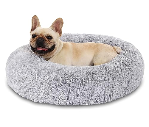 Hundebett Katzenbett Flauschig Doughnut Kuscheliges Hundekissen Waschbar rutschfest Haustierbett Ø50cm Welpenbett Cuddler Nest für Katzen, Große, Mittelgroße & Kleine Hunde Hundebett Katzenbett Flauschig Doughnut Kuscheliges Hundekissen Waschbar rutschfest Haustierbett Ø50cm Welpenbett Cuddler Nest für Katzen, Große, Mittelgroße & Kleine Hunde von Kfnire