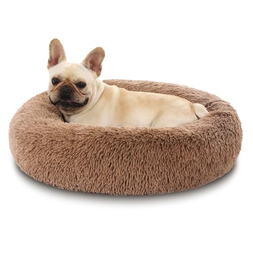 Hundebett Katzenbett Flauschig Doughnut Kuscheliges Hundekissen Waschbar rutschfest Haustierbett Ø70cm Welpenbett Cuddler Nest für Katzen, Große, Mittelgroße & Kleine Hunde Hundebett Katzenbett Flauschig Doughnut Kuscheliges Hundekissen Waschbar rutschfest Haustierbett Ø70cm Welpenbett Cuddler Nest für Katzen, Große, Mittelgroße & Kleine Hunde von Kfnire