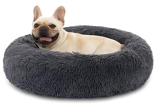 Hundebett Katzenbett Flauschig Doughnut Kuscheliges Hundekissen Waschbar rutschfest Haustierbett Ø80cm Welpenbett Cuddler Nest für Katzen, Große, Mittelgroße & Kleine Hunde Hundebett Katzenbett Flauschig Doughnut Kuscheliges Hundekissen Waschbar rutschfest Haustierbett Ø80cm Welpenbett Cuddler Nest für Katzen, Große, Mittelgroße & Kleine Hunde von Kfnire