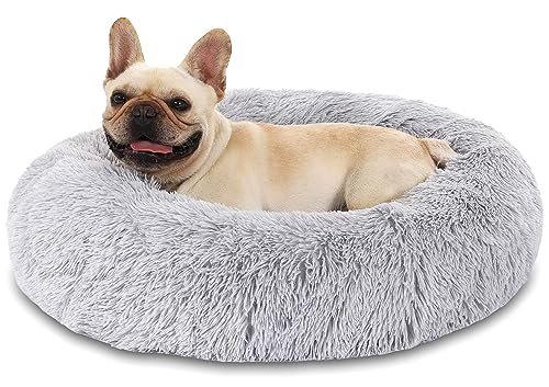Hundebett Katzenbett Flauschig Doughnut Kuscheliges Hundekissen Waschbar rutschfest Haustierbett Ø80cm Welpenbett Cuddler Nest für Katzen, Große, Mittelgroße & Kleine Hunde Hundebett Katzenbett Flauschig Doughnut Kuscheliges Hundekissen Waschbar rutschfest Haustierbett Ø80cm Welpenbett Cuddler Nest für Katzen, Große, Mittelgroße & Kleine Hunde von Kfnire