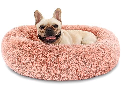 Hundebett Katzenbett Flauschig Doughnut Kuscheliges Hundekissen Waschbar rutschfest Haustierbett Ø80cm Welpenbett Cuddler Nest für Katzen, Große, Mittelgroße & Kleine Hunde Hundebett Katzenbett Flauschig Doughnut Kuscheliges Hundekissen Waschbar rutschfest Haustierbett Ø80cm Welpenbett Cuddler Nest für Katzen, Große, Mittelgroße & Kleine Hunde von Kfnire