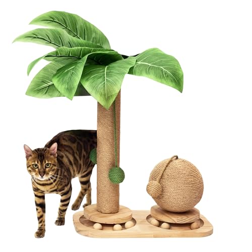 KHALOR Katzenkratzbaum, Holz Katzenkratzspielzeug für Indoor-Katzen, Sisalballspielzeug mit hängenden und Trackbällen, 45 cm hoch Bananenbaum Katzenturm für Kätzchen von Khalor