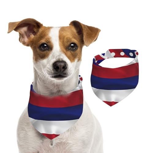Bandana mit Flagge von Hawaii, verstellbar, für Jungen und Mädchen, geeignet für Katzen und Hunde, Haustierzubehör von Khkbnb