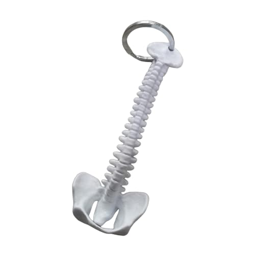 KiBcsLic 15 cm PVC Schlüsselanhänger mit Menschlicher Wirbelsäule, Handgefertigt, Und Leicht, Biologie Design, Weiß von KiBcsLic