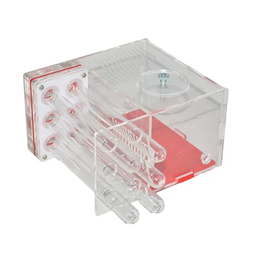 KiBcsLic Ameisenhaus Acryl Farm Villa Ameisenbehausung DIY Feuchtigkeitsbox mit Transparentem Futterbereich aus Acryl für Kinderzimmer Wohnzimmer, 1.5 cm KiBcsLic Ameisenhaus Acryl Farm Villa Ameisenbehausung DIY Feuchtigkeitsbox mit Transparentem Futterbereich aus Acryl für Kinderzimmer Wohnzimmer, 1.5 cm von KiBcsLic
