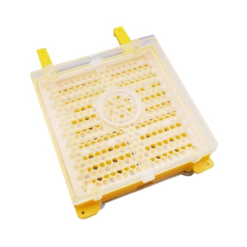 KiBcsLic Bienenzucht Biene transplantieren Kit Biene Laying Breeding Set kultivierende Box Multifunktionale Bienenzucht Tools Zubehör Gelb gelb von KiBcsLic