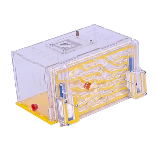KiBcsLic Gehäuse, Nest, Bauernhof, Lernen, Lustiges Spielzeug, Werkstatt, Schaukasten, Zuchtkoffer für Geschenk, Wissenschaft, Beobachtung, Tischliebhaber, Gelb KiBcsLic Gehäuse, Nest, Bauernhof, Lernen, Lustiges Spielzeug, Werkstatt, Schaukasten, Zuchtkoffer für Geschenk, Wissenschaft, Beobachtung, Tischliebhaber, Gelb von KiBcsLic