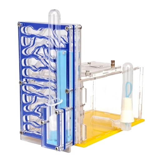 KiBcsLic Gehäuse, Nest, Zuchtkoffer, Spielzeug, Einfach zu Montieren, Transparente Schaukasten Farm für Wissenschaftliche Beobachtung, Dekoration, Heimgeschenk, Blau KiBcsLic Gehäuse, Nest, Zuchtkoffer, Spielzeug, Einfach zu Montieren, Transparente Schaukasten Farm für Wissenschaftliche Beobachtung, Dekoration, Heimgeschenk, Blau von KiBcsLic