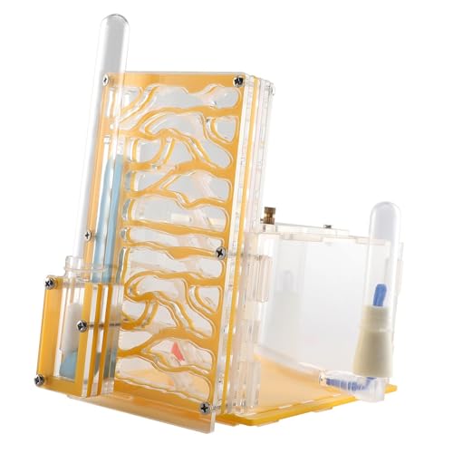 KiBcsLic Gehäuse, Nest, Zuchtkoffer, Spielzeug, Einfach zu Montieren, Transparente Schaukasten Farm für Wissenschaftliche Beobachtung, Dekoration, Heimgeschenk, Gelb KiBcsLic Gehäuse, Nest, Zuchtkoffer, Spielzeug, Einfach zu Montieren, Transparente Schaukasten Farm für Wissenschaftliche Beobachtung, Dekoration, Heimgeschenk, Gelb von KiBcsLic