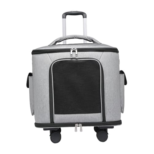 KiBcsLic Katzentrolley Reisetasche Transporttasche Hundetrolley Tragetasche Aus Strapazierfähigem Stoff mit Teleskopgriff für Abenteuer Im Freien Und Wanderung, Grau KiBcsLic Katzentrolley Reisetasche Transporttasche Hundetrolley Tragetasche Aus Strapazierfähigem Stoff mit Teleskopgriff für Abenteuer Im Freien Und Wanderung, Grau von KiBcsLic