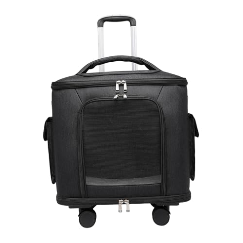 KiBcsLic Katzentrolley Reisetasche Transporttasche Hundetrolley Tragetasche Aus Strapazierfähigem Stoff mit Teleskopgriff für Abenteuer Im Freien Und Wanderung, Schwarz KiBcsLic Katzentrolley Reisetasche Transporttasche Hundetrolley Tragetasche Aus Strapazierfähigem Stoff mit Teleskopgriff für Abenteuer Im Freien Und Wanderung, Schwarz von KiBcsLic