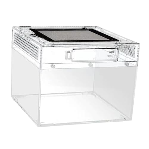 KiBcsLic Reptilien Terrarium Zuchtbehälter Schildkrötenbecken Lebensraum Box Reptilienbox Klarer PC Behälter mit Lüftungsöffnungen für Schildkröten Bartagamen, 20cmx20cmx15cm KiBcsLic Reptilien Terrarium Zuchtbehälter Schildkrötenbecken Lebensraum Box Reptilienbox Klarer PC Behälter mit Lüftungsöffnungen für Schildkröten Bartagamen, 20cmx20cmx15cm von KiBcsLic
