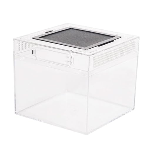 KiBcsLic Reptilien Terrarium Zuchtbehälter Schildkrötenbecken Lebensraum Box Reptilienbox Klarer PC Behälter mit Lüftungsöffnungen für Schildkröten Bartagamen, 20cmx20cmx18cm KiBcsLic Reptilien Terrarium Zuchtbehälter Schildkrötenbecken Lebensraum Box Reptilienbox Klarer PC Behälter mit Lüftungsöffnungen für Schildkröten Bartagamen, 20cmx20cmx18cm von KiBcsLic
