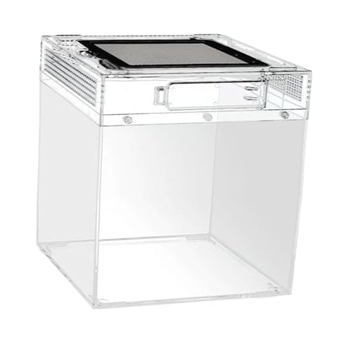 KiBcsLic Reptilien Terrarium Zuchtbehälter Schildkrötenbecken Lebensraum Box Reptilienbox Klarer PC Behälter mit Lüftungsöffnungen für Schildkröten Bartagamen, 20cmx20cmx28cm KiBcsLic Reptilien Terrarium Zuchtbehälter Schildkrötenbecken Lebensraum Box Reptilienbox Klarer PC Behälter mit Lüftungsöffnungen für Schildkröten Bartagamen, 20cmx20cmx28cm von KiBcsLic