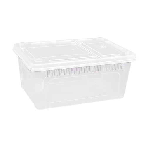 KiBcsLic Reptilien Zuchtbox Als Transparentes Terrarium Zuchtkasten Und Futterbehälter Dieser Transportkäfig Aus Wiederverwendbarem PP Bietet Klare, 27x18.8x12cm KiBcsLic Reptilien Zuchtbox Als Transparentes Terrarium Zuchtkasten Und Futterbehälter Dieser Transportkäfig Aus Wiederverwendbarem PP Bietet Klare, 27x18.8x12cm von KiBcsLic