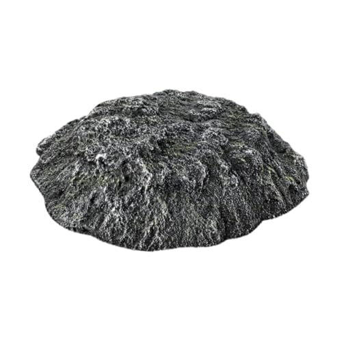 KiBcsLic Schildkröten Sonnenplattform, Schildkröten Kletterrampe für Frosch, Leguane, Sumpfschildkröte KiBcsLic Schildkröten Sonnenplattform, Schildkröten Kletterrampe für Frosch, Leguane, Sumpfschildkröte von KiBcsLic