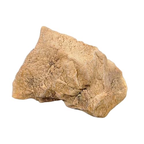 KiBcsLic Stein PU Schaum Ornament Landschaft Rock für Hof Mall Garten Decor von KiBcsLic