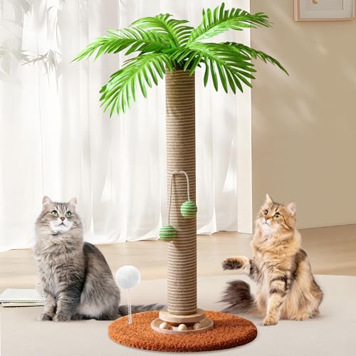Kicari Kratzbaum für den Innenbereich, Katzenspielzeug, Kratzbaum mit Palme von Kicari
