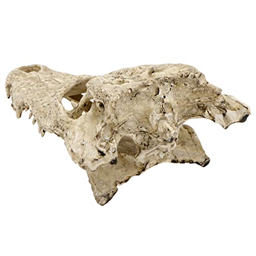 Kichvoe 1 Stück Miniatur Dinosaurier Schädel Aquarium Dekoration aus Resin Zufällige Farbe für Fischbecken und Langlebig und Leicht Deko für Zuhause und Partys Zufällige Kichvoe 1 Stück Miniatur Dinosaurier Schädel Aquarium Dekoration aus Resin Zufällige Farbe für Fischbecken und Langlebig und Leicht Deko für Zuhause und Partys Zufällige von Kichvoe