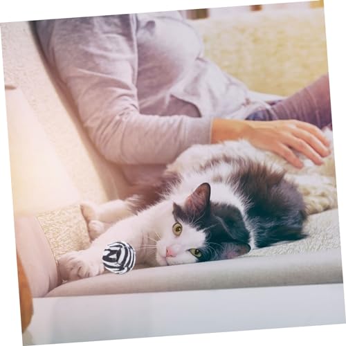Kichvoe 10 Stück Teiliges Katzen Spielbälle mit Leopardenmuster Interaktives Katzenspielzeug für Drinnen Langlebige Plüschbälle für Kitten Fördert Bewegung und Bindung Kichvoe 10 Stück Teiliges Katzen Spielbälle mit Leopardenmuster Interaktives Katzenspielzeug für Drinnen Langlebige Plüschbälle für Kitten Fördert Bewegung und Bindung von Kichvoe