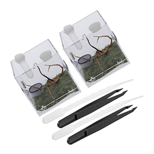 Kichvoe 2 Sätze Reptilien Zuchtbox Teilig Transparent mit Tropfpipette und Pinzette Atmungsaktiv Kratzfest Praktisch für Reptilien Schnecken und Spinnen Beobachtungsfreundliches Terrarium Kichvoe 2 Sätze Reptilien Zuchtbox Teilig Transparent mit Tropfpipette und Pinzette Atmungsaktiv Kratzfest Praktisch für Reptilien Schnecken und Spinnen Beobachtungsfreundliches Terrarium von Kichvoe
