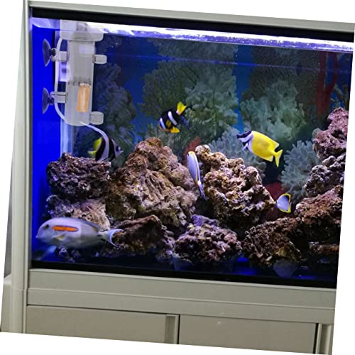 Kichvoe 2 Stück Aquarium Luftstein aus Hochwertigem Holz Dichte Blasen für Effektiven Proteinabscheider Langlebig Geräuscharm Gleichmäßige Luftverteilung Geeignet für Süß und Kichvoe 2 Stück Aquarium Luftstein aus Hochwertigem Holz Dichte Blasen für Effektiven Proteinabscheider Langlebig Geräuscharm Gleichmäßige Luftverteilung Geeignet für Süß und von Kichvoe