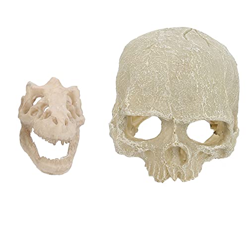 Kichvoe 2 Stück Teiliges Schädel Aquarium Dekoration aus Hochwertigem Resin für Fischtank Sicher und für Aquarien Kichvoe 2 Stück Teiliges Schädel Aquarium Dekoration aus Hochwertigem Resin für Fischtank Sicher und für Aquarien von Kichvoe