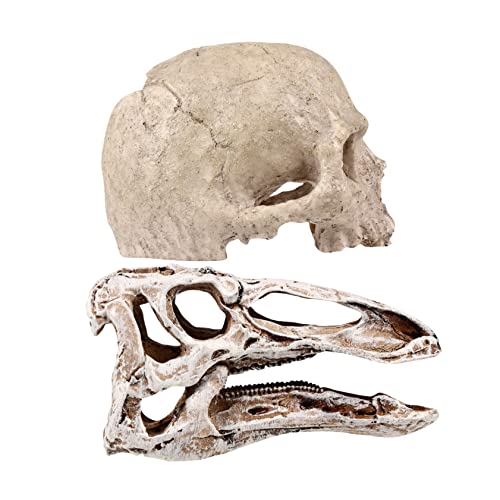 Kichvoe 2 Stücke Aquarium Schädel Dekoration aus Harz Versteck für Reptilien und Fische für Terrarien und Aquarien Farbecht und Langlebig Kichvoe 2 Stücke Aquarium Schädel Dekoration aus Harz Versteck für Reptilien und Fische für Terrarien und Aquarien Farbecht und Langlebig von Kichvoe