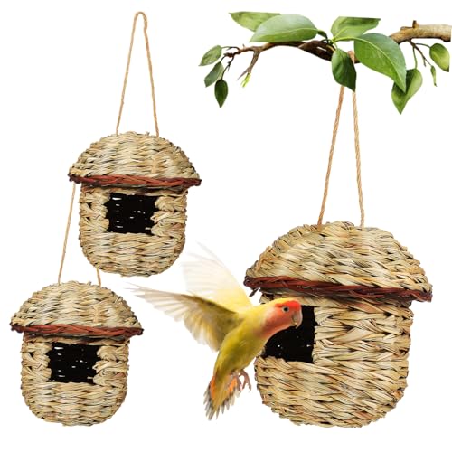 Kichvoe 3 Stück Teiliges Handgefertigte Stroh Nistkästen für Vögel Robustes Bissfestes Vogelhaus mit Juteseil zum Aufhängen Geeignet für Gartenvögel Wellensittiche und Kleine Singvögel Kichvoe 3 Stück Teiliges Handgefertigte Stroh Nistkästen für Vögel Robustes Bissfestes Vogelhaus mit Juteseil zum Aufhängen Geeignet für Gartenvögel Wellensittiche und Kleine Singvögel von Kichvoe