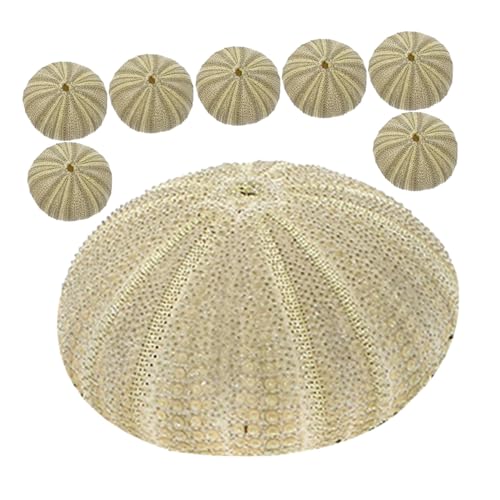 Kichvoe 8 Stück Teiliges Natürliche Grüne Seeigelgehäuse Vielseitige Dekoration für Vasenfüllung DIY Bastelmaterial Aquarium Landschaftsornament Luftpflanzenhalter Handgemachte von Kichvoe