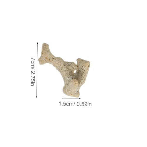 Kichvoe Aquarium Korallenfilter Naturfiltermaterial Korallensand Dekorativ zur Wasserreinigung und für Süßwasserfische und Aquarien von Kichvoe