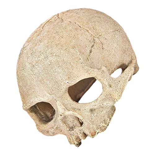 Kichvoe Aquarium Skull Dekoration aus Harz Kopf Skelett Ornament für Aquarien und Terrarien Langlebig und Pflegeleicht für Reptilien und Fischbecken Kichvoe Aquarium Skull Dekoration aus Harz Kopf Skelett Ornament für Aquarien und Terrarien Langlebig und Pflegeleicht für Reptilien und Fischbecken von Kichvoe