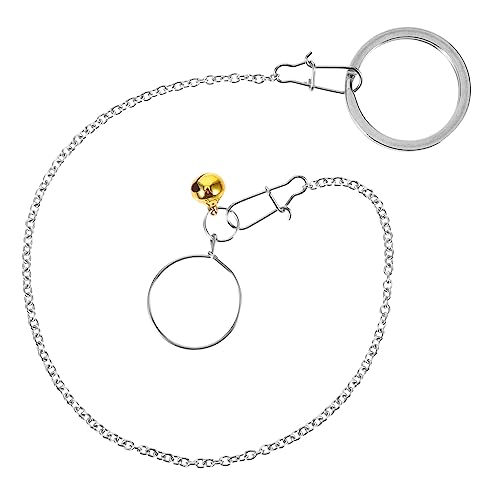 Kichvoe Edelstahl Vogelhalsring mit Glocke Leichtes Glattes Halsband für Papageien Verstellbar Komfortabel für Langes Tragen Geeignet für Wellensittiche und Kleine Exoten Robustes Kichvoe Edelstahl Vogelhalsring mit Glocke Leichtes Glattes Halsband für Papageien Verstellbar Komfortabel für Langes Tragen Geeignet für Wellensittiche und Kleine Exoten Robustes von Kichvoe