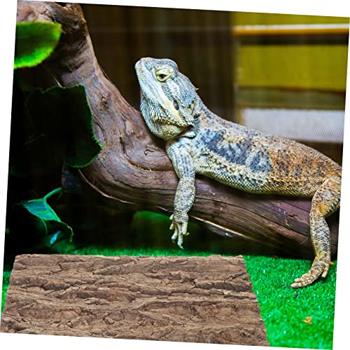 Kichvoe Kork Terrarium Hintergrundplatte Natürliche Echte Baumrinde Terrarien Dekoration Reptilien Klettermatte für Schildkröten Eidechsen und Fische von Kichvoe