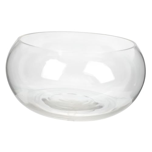 Kichvoe Runde Glasblase Fischschale Goldfischglas Hydroponisches Pflanzgefäß Dekorative Aquarium Deko für Zuhause Büro Garten Hochzeit Kichvoe Runde Glasblase Fischschale Goldfischglas Hydroponisches Pflanzgefäß Dekorative Aquarium Deko für Zuhause Büro Garten Hochzeit von Kichvoe