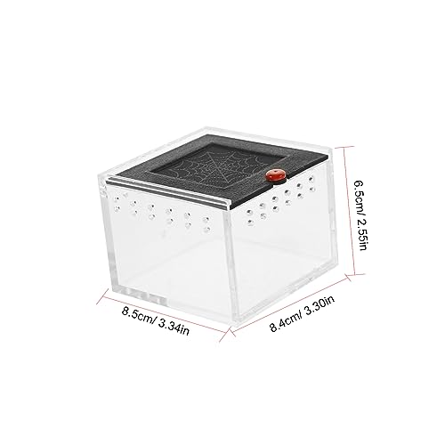 Kichvoe Transparente Reptilien Fütterungsbox aus Bruchsicherem mit Belüftungslöchern Klare Sicht Leicht zu Reinigen Geeignet für Terrarien Spinnen und Insektenzucht Beobachtungsbehältnis Kichvoe Transparente Reptilien Fütterungsbox aus Bruchsicherem mit Belüftungslöchern Klare Sicht Leicht zu Reinigen Geeignet für Terrarien Spinnen und Insektenzucht Beobachtungsbehältnis von Kichvoe