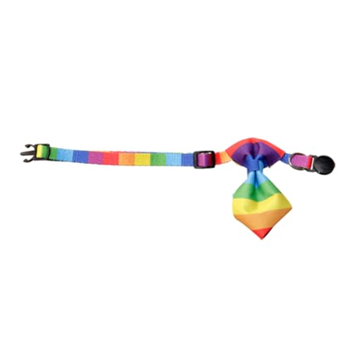 Kichvoe Verstellbares Katzenhalsband mit Sicherer Schnalle und Bunter Regenbogenfliege Kleines Haustierhalsband für Welpen und Katzen für Party Alltag und Festliche Anlässe Kichvoe Verstellbares Katzenhalsband mit Sicherer Schnalle und Bunter Regenbogenfliege Kleines Haustierhalsband für Welpen und Katzen für Party Alltag und Festliche Anlässe von Kichvoe
