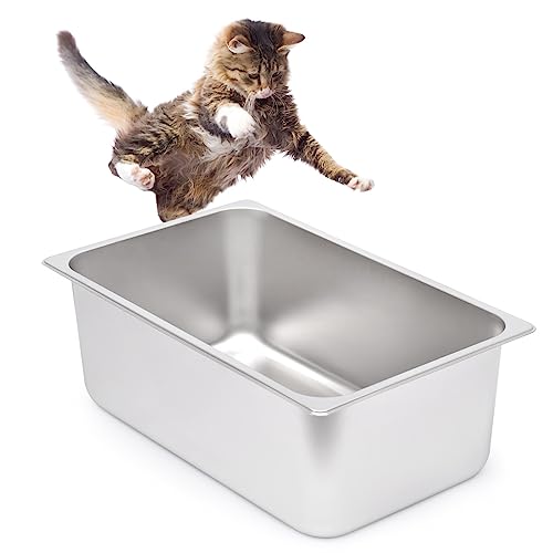 Kichwit Katzentoilette aus Edelstahl mit hohen Seiten, Metall-Katzentoilette für Katzen, antihaftbeschichtet, glatte Oberfläche, 53,6 cm L x 33,3 cm B x 19,8 cm H Kichwit Katzentoilette aus Edelstahl mit hohen Seiten, Metall-Katzentoilette für Katzen, antihaftbeschichtet, glatte Oberfläche, 53,6 cm L x 33,3 cm B x 19,8 cm H von Kichwit