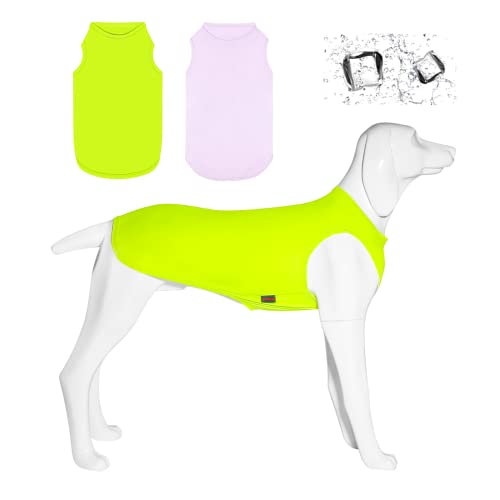Kickred 2 Pack Hund Kühlung Shirts, EIS Haustier Weste Hund Kleidung für Instant Kühlung, ultraleichte atmungsaktive ärmellose T-Shirts für mittlere Hunde Junge Mädchen (Violett+Grün, M) von Kickred