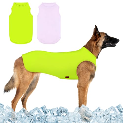 Kickred 2 Pack Hund Kühlung Shirts, EIS Haustier Weste Hund Kleidung für Instant Kühlung, ultraleichte atmungsaktive ärmellose T-Shirts für mittlere Hunde Junge Mädchen (Violett+Grün, M) von Kickred