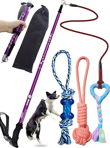 Kidpet Flirt Pole für Hunde (Upgrade Purple) von Kidpet